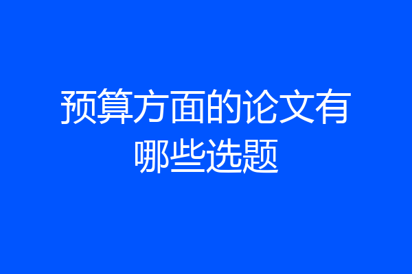 预算方面的论文有哪些选题