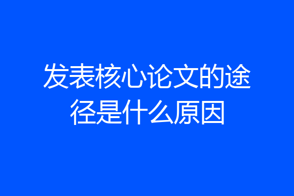 发表核心论文的途径是什么原因