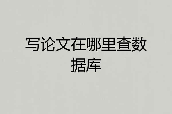 写论文在哪里查数据库