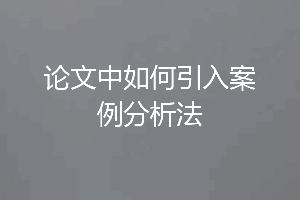 论文中如何引入案例分析法