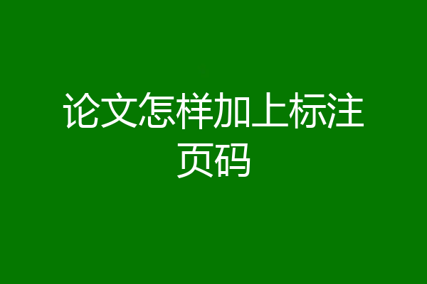 论文怎样加上标注页码