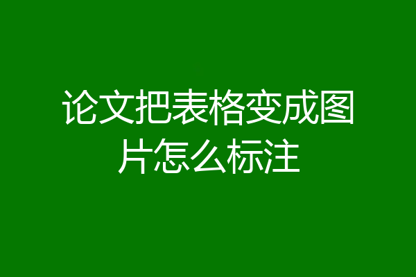 论文把表格变成图片怎么标注