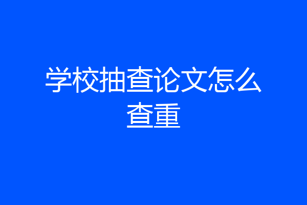 学校抽查论文怎么查重