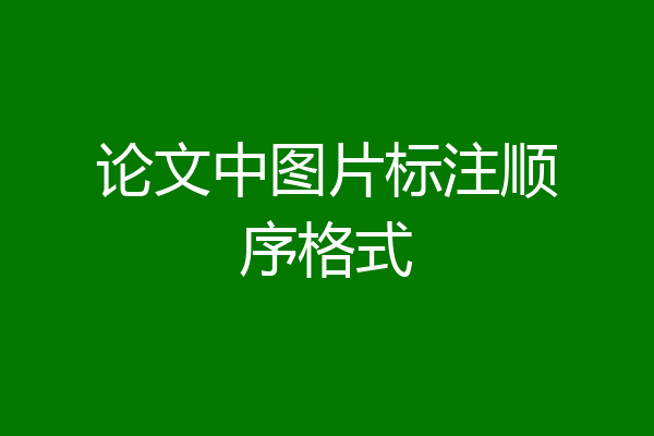 论文中图片标注顺序格式