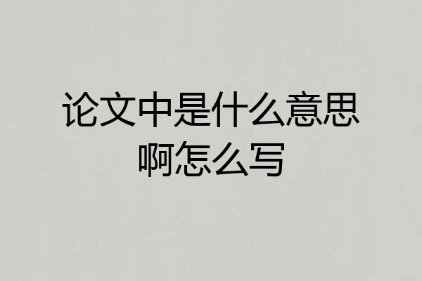 论文中是什么意思啊怎么写