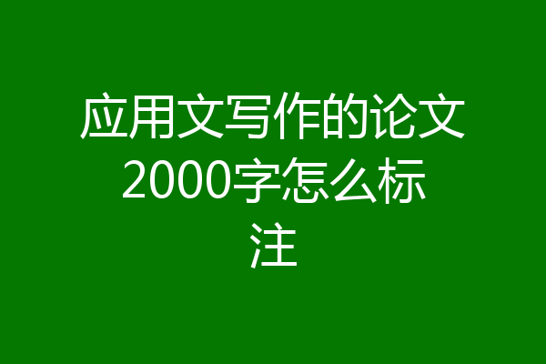 应用文写作的论文2000字怎么标注