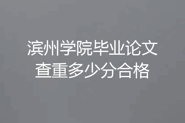 滨州学院毕业论文查重多少分合格
