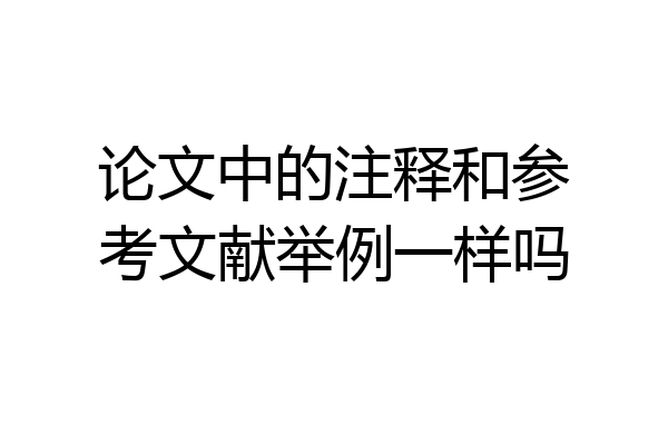 论文中的注释和参考文献举例一样吗
