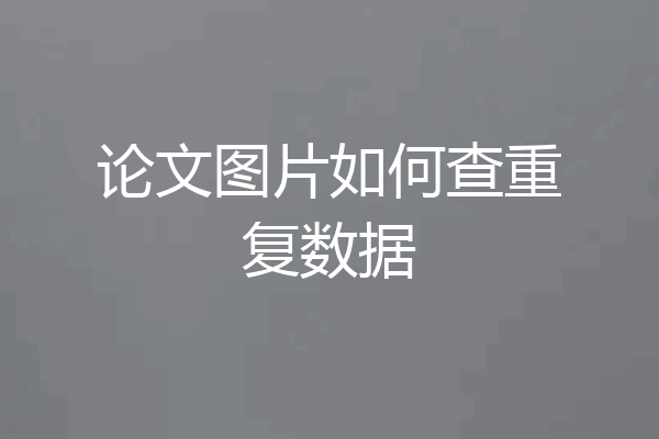 论文图片如何查重复数据