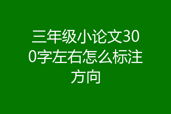 三年级小论文300字左右怎么标注方向