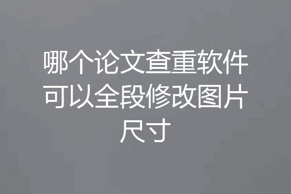 哪个论文查重软件可以全段修改图片尺寸