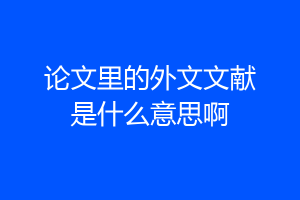 论文里的外文文献是什么意思啊