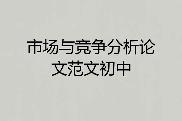 市场与竞争分析论文范文初中