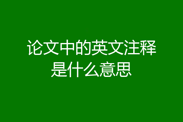 论文中的英文注释是什么意思