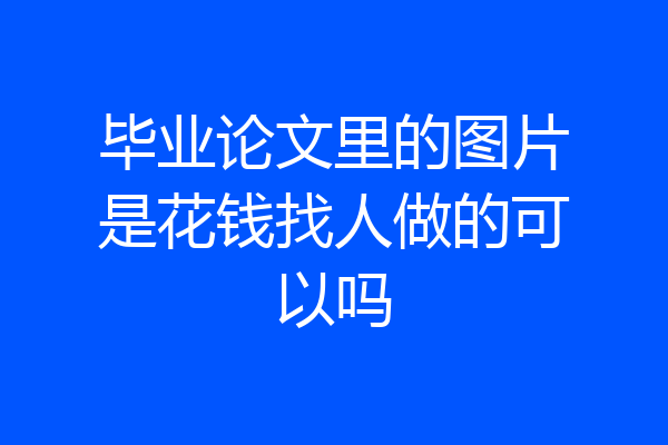 毕业论文里的图片是花钱找人做的可以吗