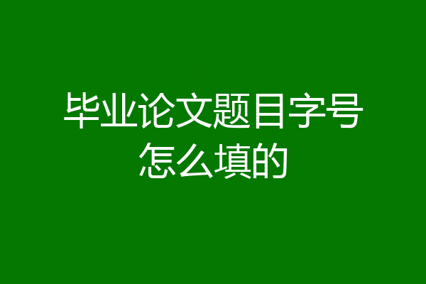 毕业论文题目字号怎么填的