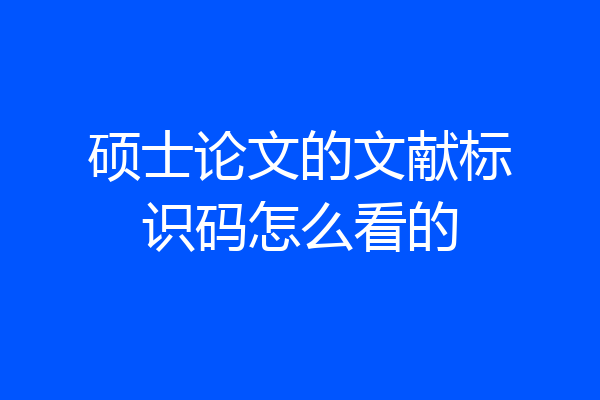 硕士论文的文献标识码怎么看的