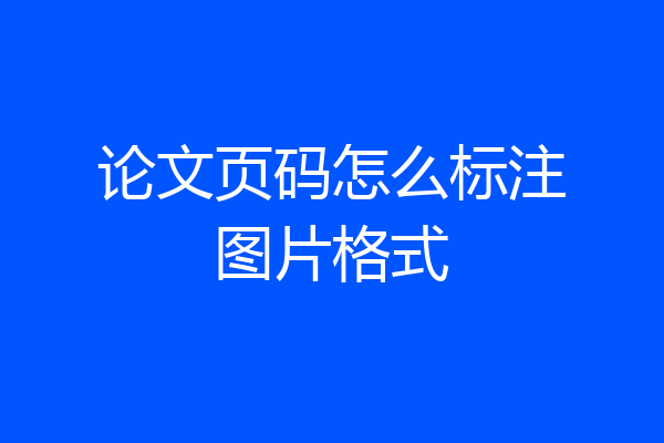 论文页码怎么标注图片格式
