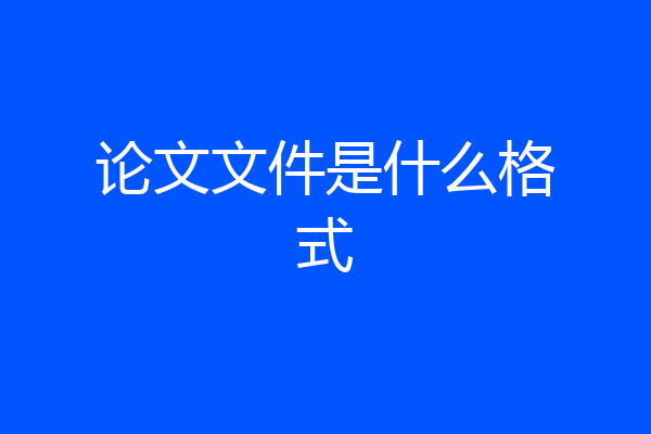 论文文件是什么格式