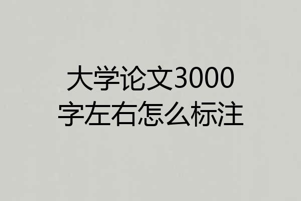 大学论文3000字左右怎么标注