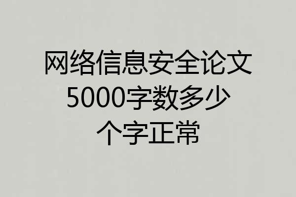 网络信息安全论文5000字数多少个字正常