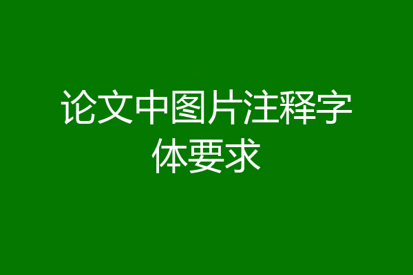 论文中图片注释字体要求