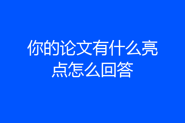 你的论文有什么亮点怎么回答