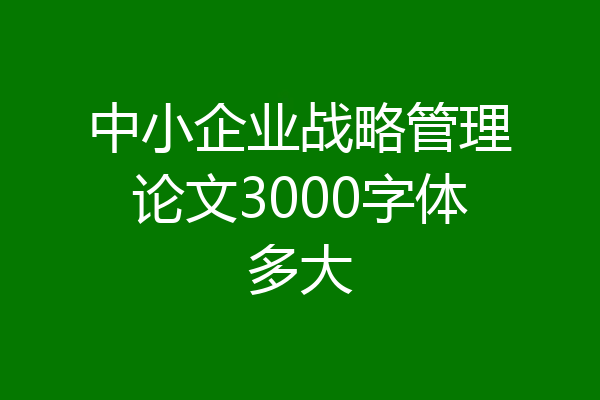中小企业战略管理论文3000字体多大