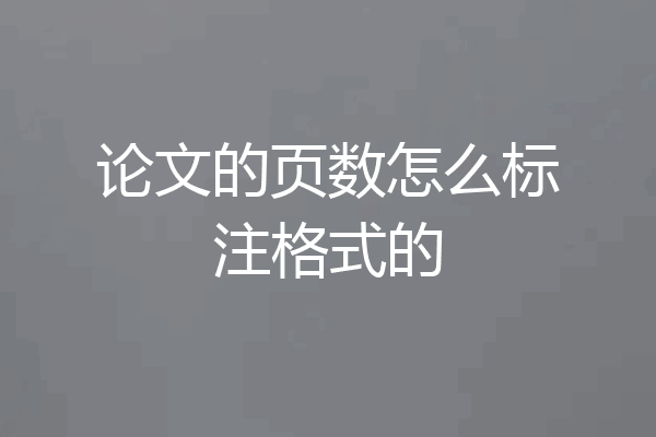 论文的页数怎么标注格式的