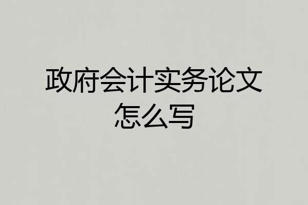 政府会计实务论文怎么写