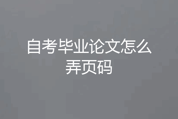 自考毕业论文怎么弄页码