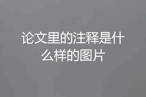 论文里的注释是什么样的图片