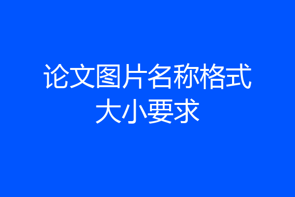 论文图片名称格式大小要求