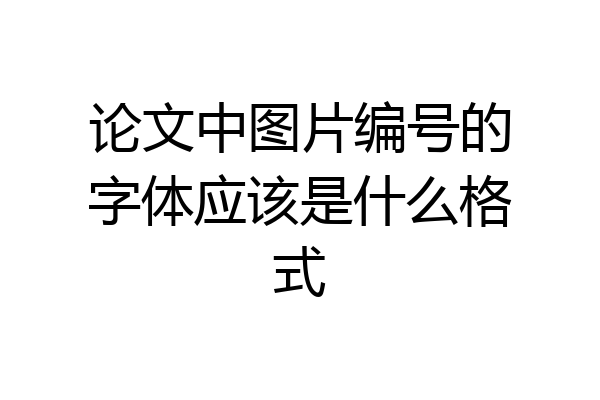 论文中图片编号的字体应该是什么格式