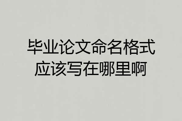 毕业论文命名格式应该写在哪里啊