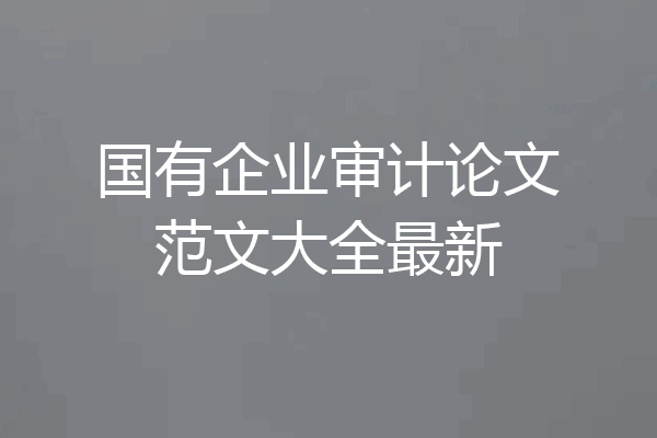 国有企业审计论文范文大全最新