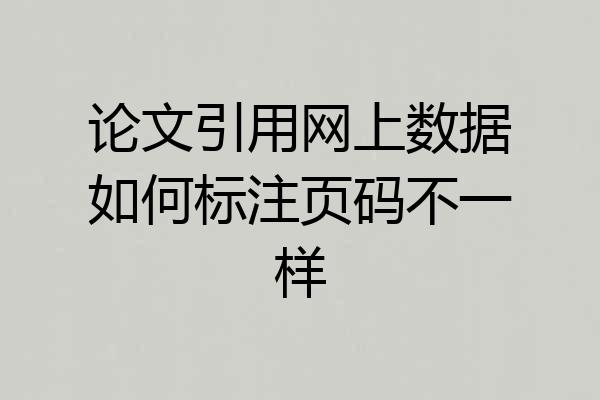 论文引用网上数据如何标注页码不一样