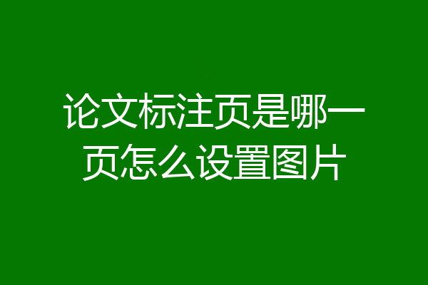 论文标注页是哪一页怎么设置图片