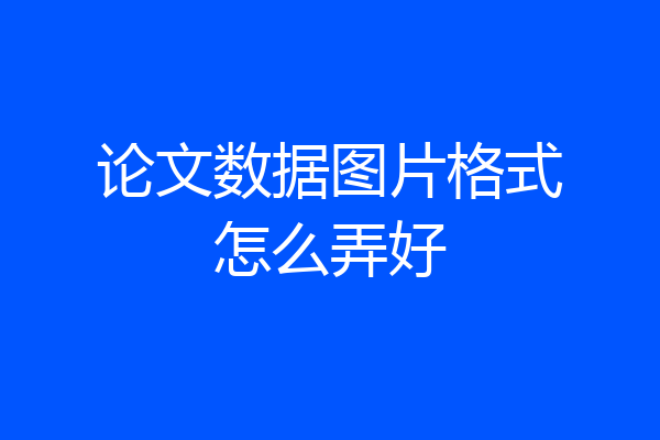 论文数据图片格式怎么弄好