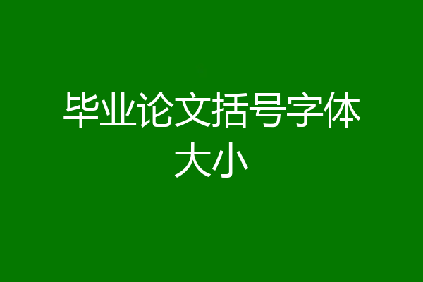 毕业论文括号字体大小