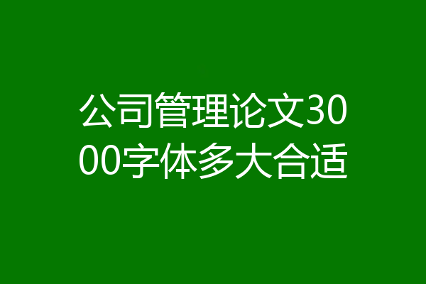 公司管理论文3000字体多大合适