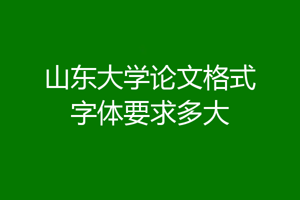 山东大学论文格式字体要求多大