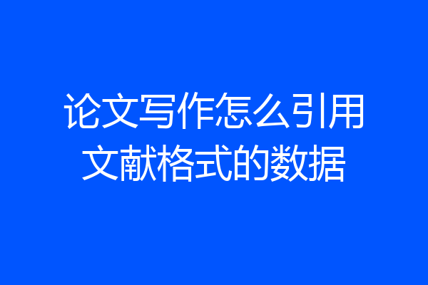论文写作怎么引用文献格式的数据