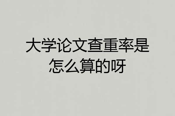 大学论文查重率是怎么算的呀