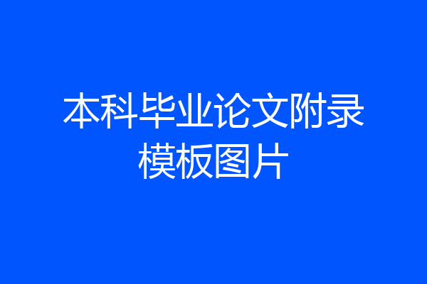 本科毕业论文附录模板图片