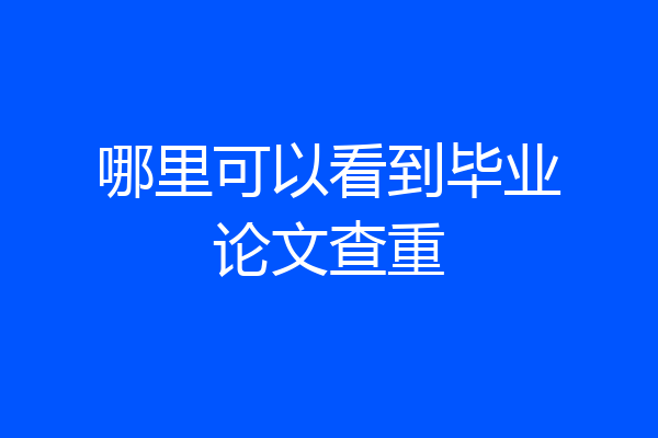 哪里可以看到毕业论文查重