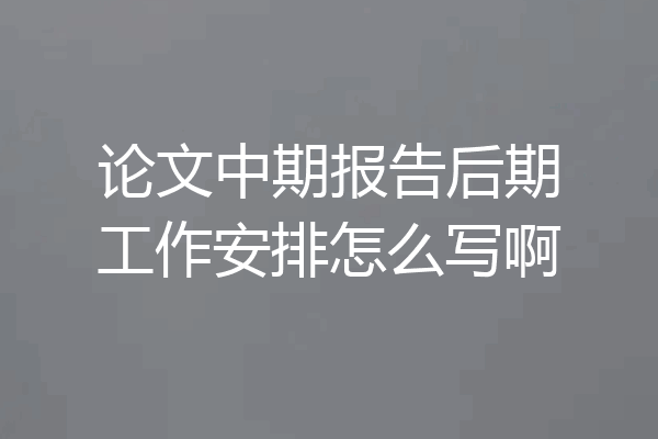 论文中期报告后期工作安排怎么写啊