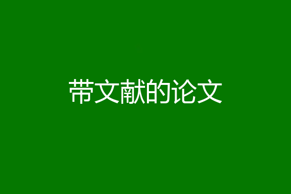 带文献的论文