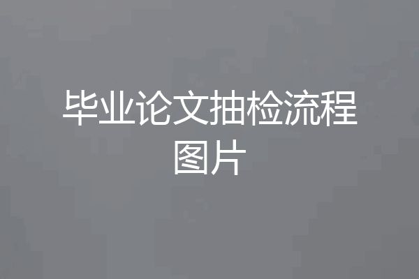 毕业论文抽检流程图片