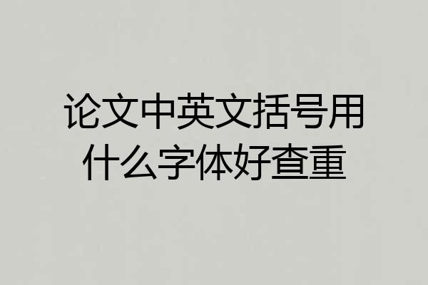 论文中英文括号用什么字体好查重